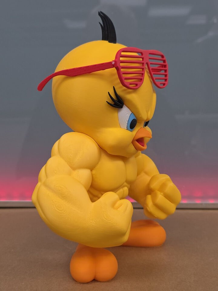 Tweety Temalı Kaslı 3D Baskı Dekor Figürü
